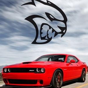 Meet your Posher, Timothy